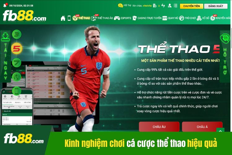 Top các kinh nghiệm chơi cá cược thể thao hiệu quả